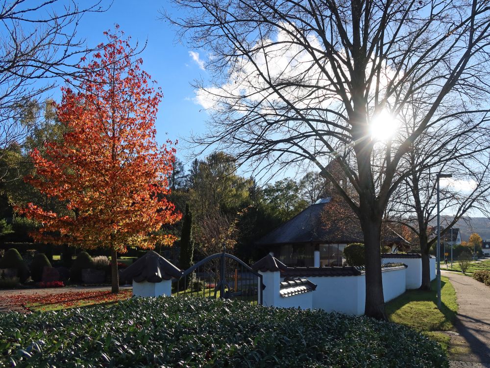 Friedhof Weiler