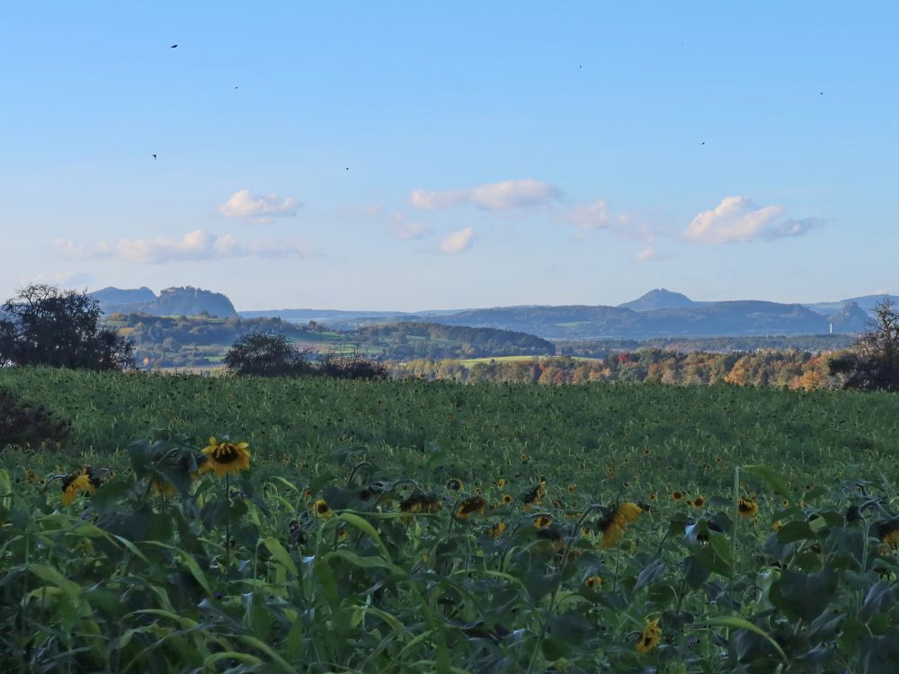 Blick Richtung Hegau