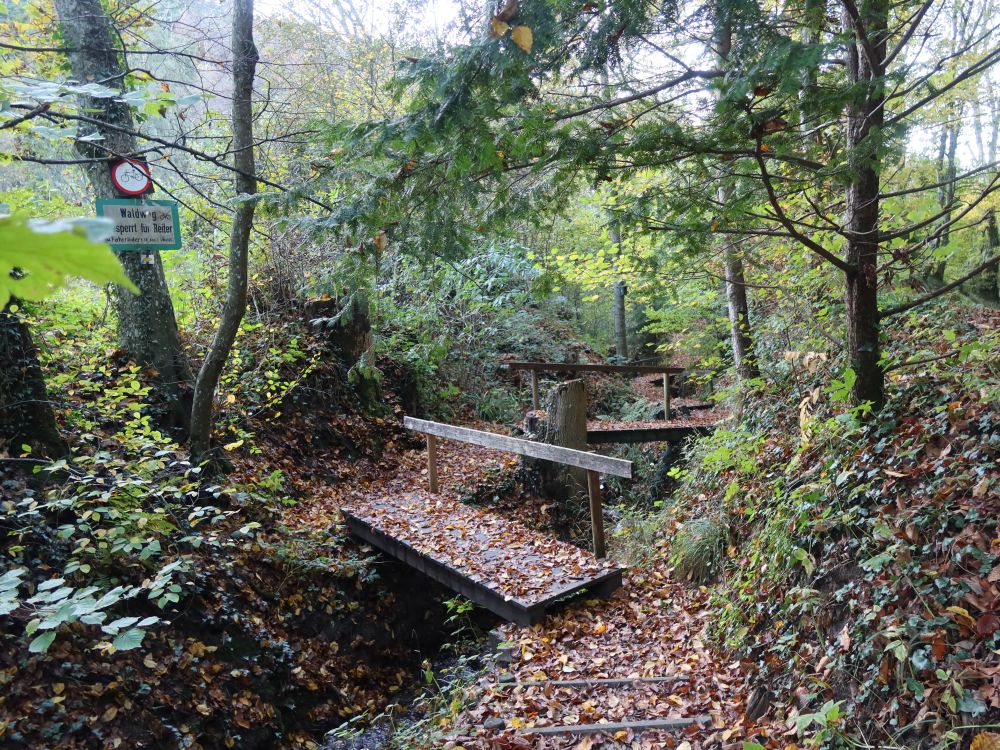 Stege am Bankholzer Dorfbach