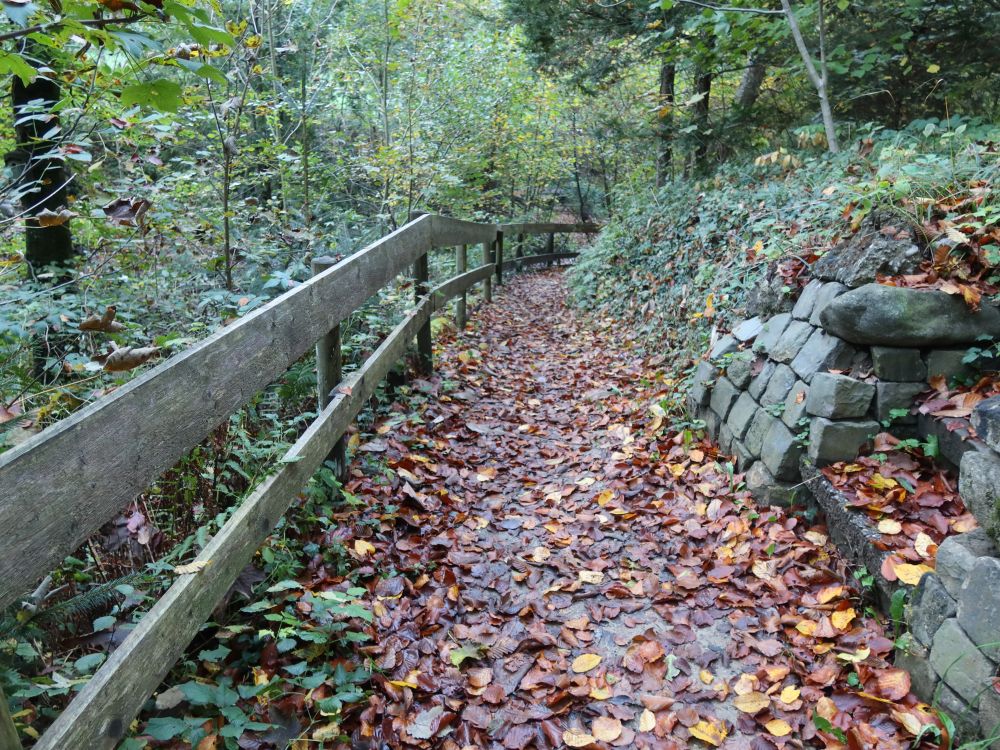 Pfad am Bankholzer Dorfbach