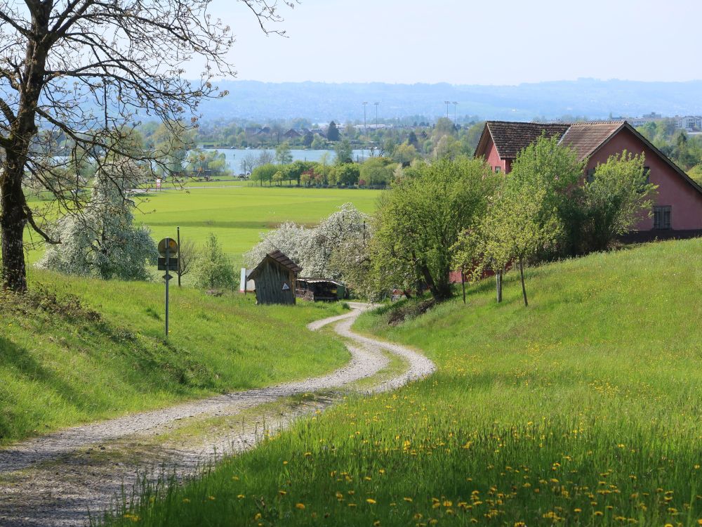 Weg bei Lehnholz