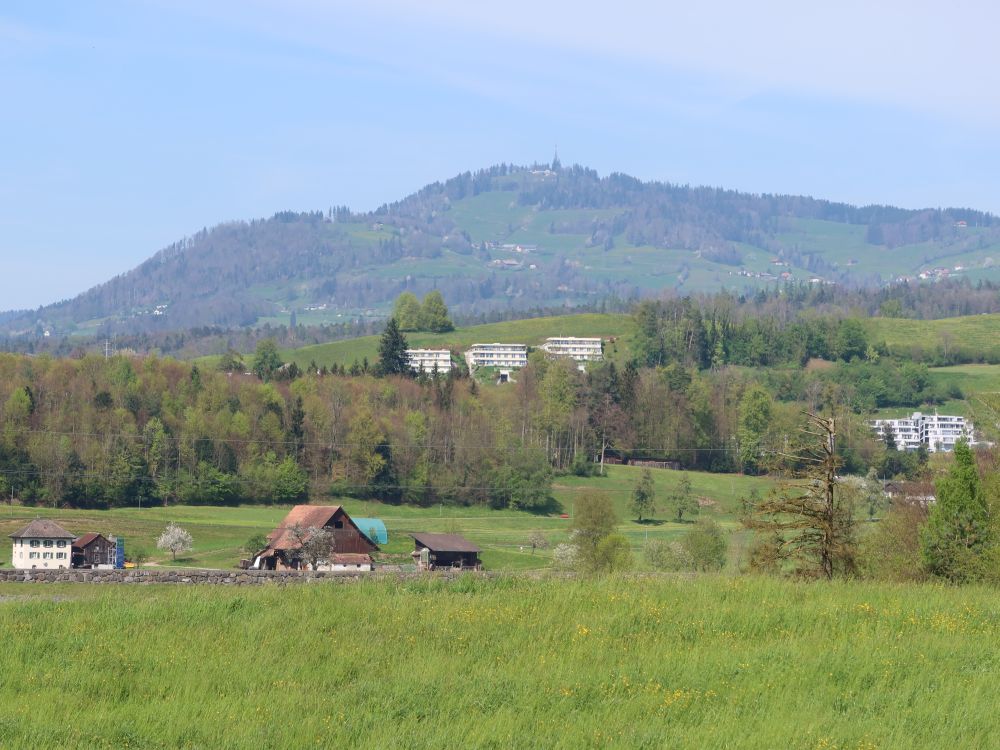 Blick Richtung Bachtel