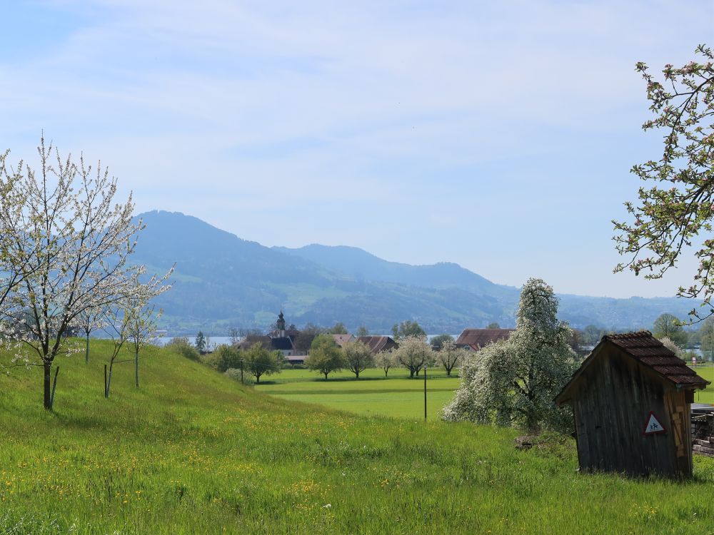 Blick Richtung Kloster Wurmsbach