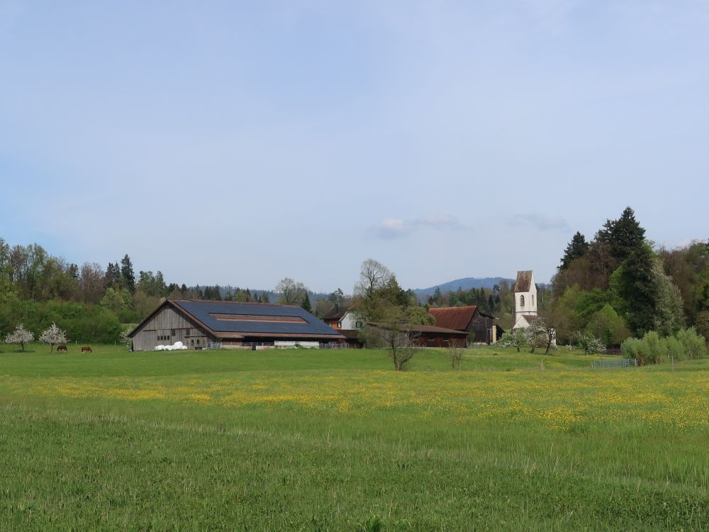 Blick Richtung St. Dionys