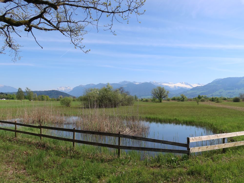 Teich im Jonerallmeind