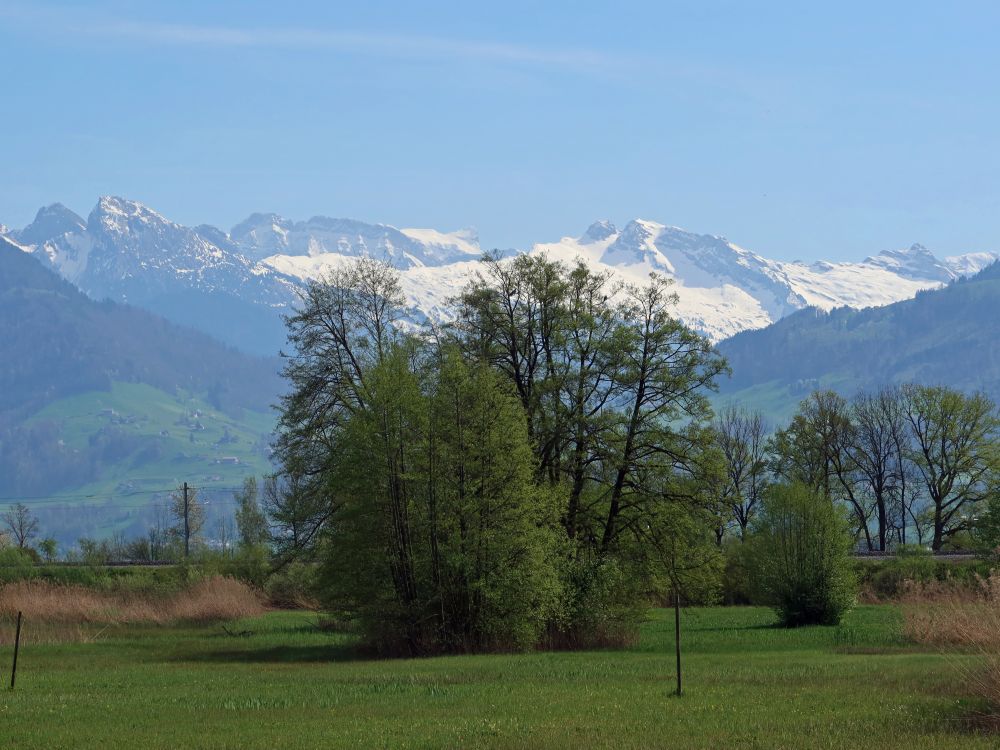 Schiberg und Mutteristock