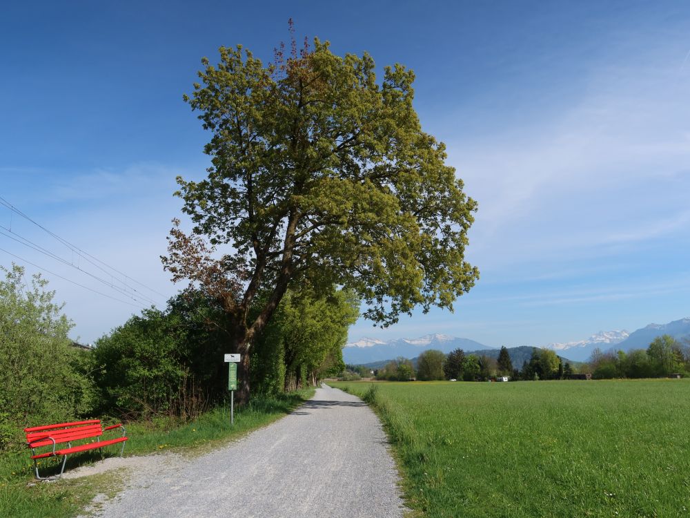 Sitzbank am Strandweg