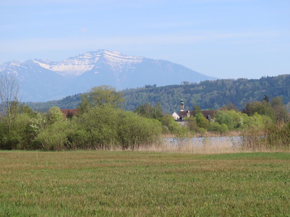 Federispitz und Kloster Wurmsbach