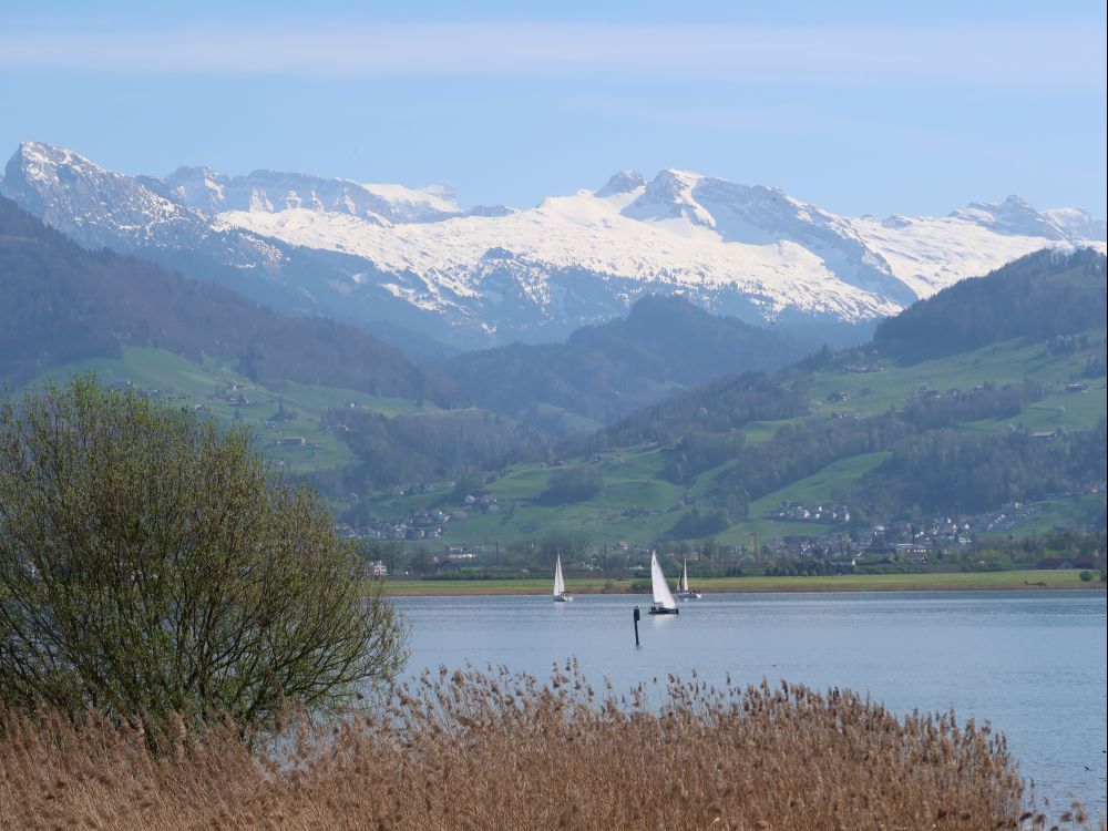 Schiberg und Mutteristock