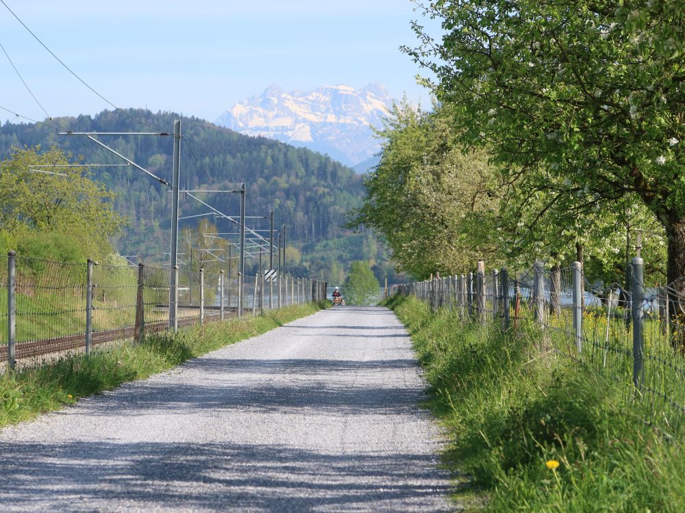 Mürtschenstock überm Strandweg