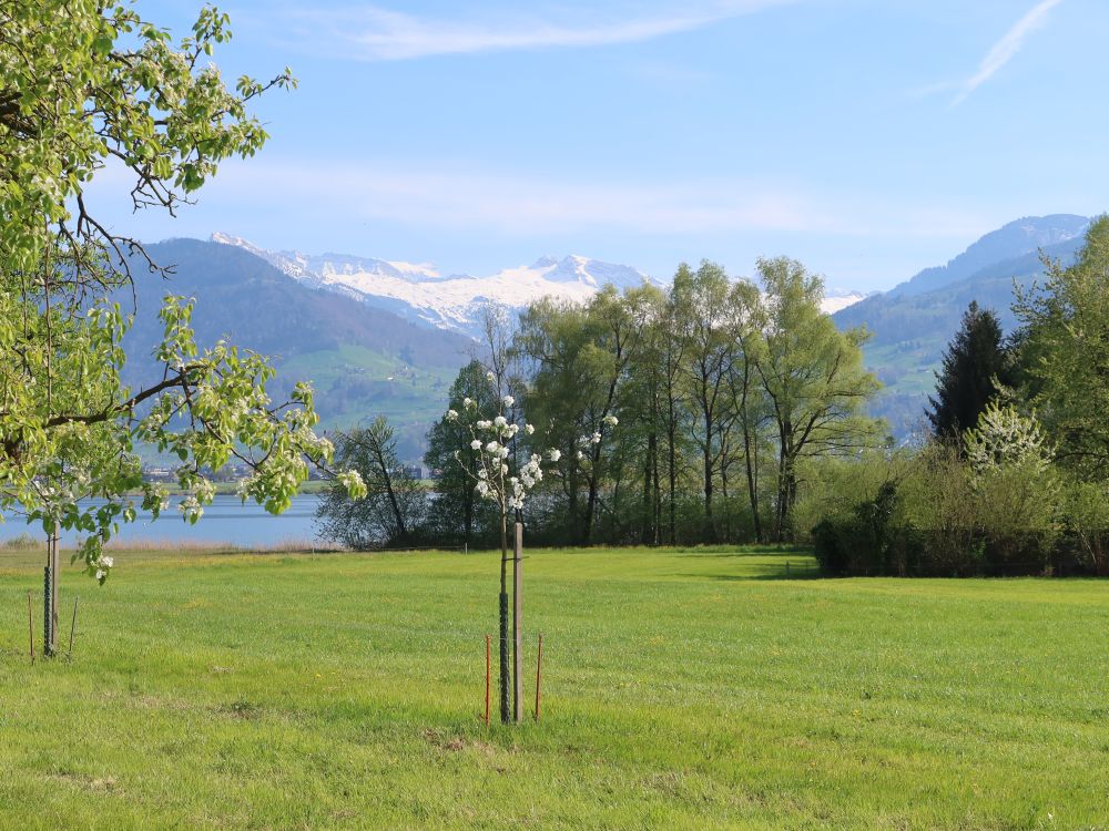 Blick Richtung Mutteristock