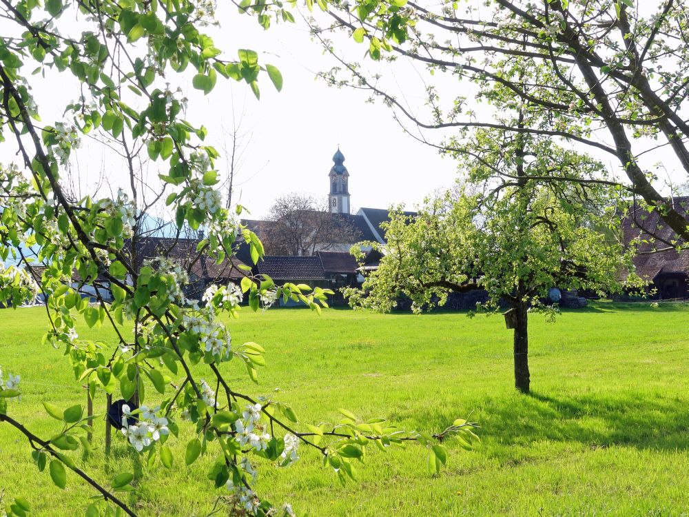 Kloster Wurmsbach