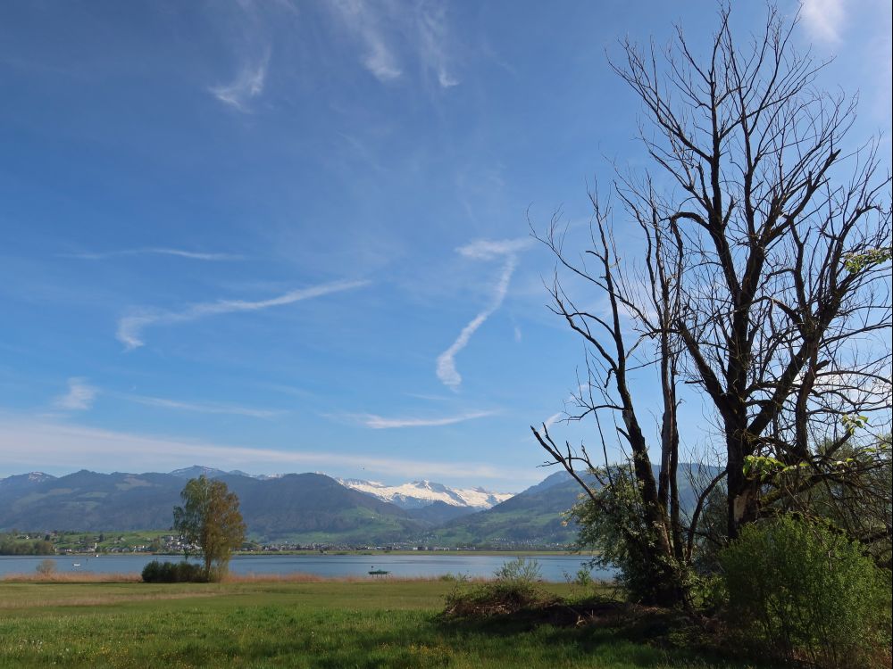Blick Richtung Mutteristock