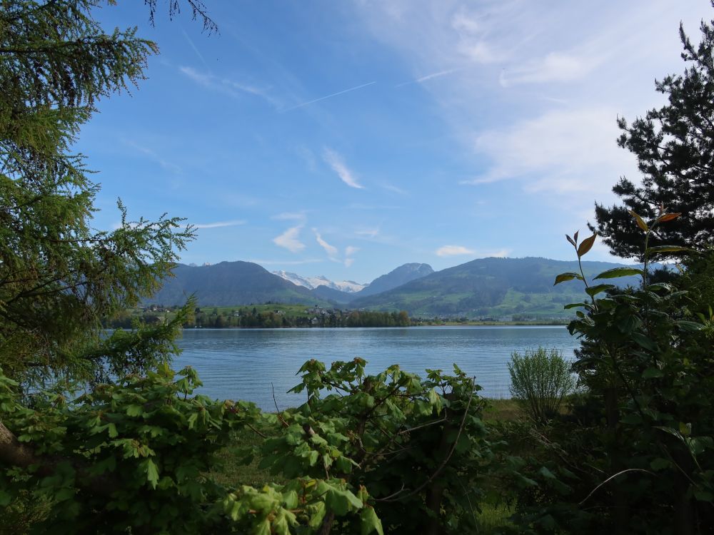 Blick über den Zürichsee