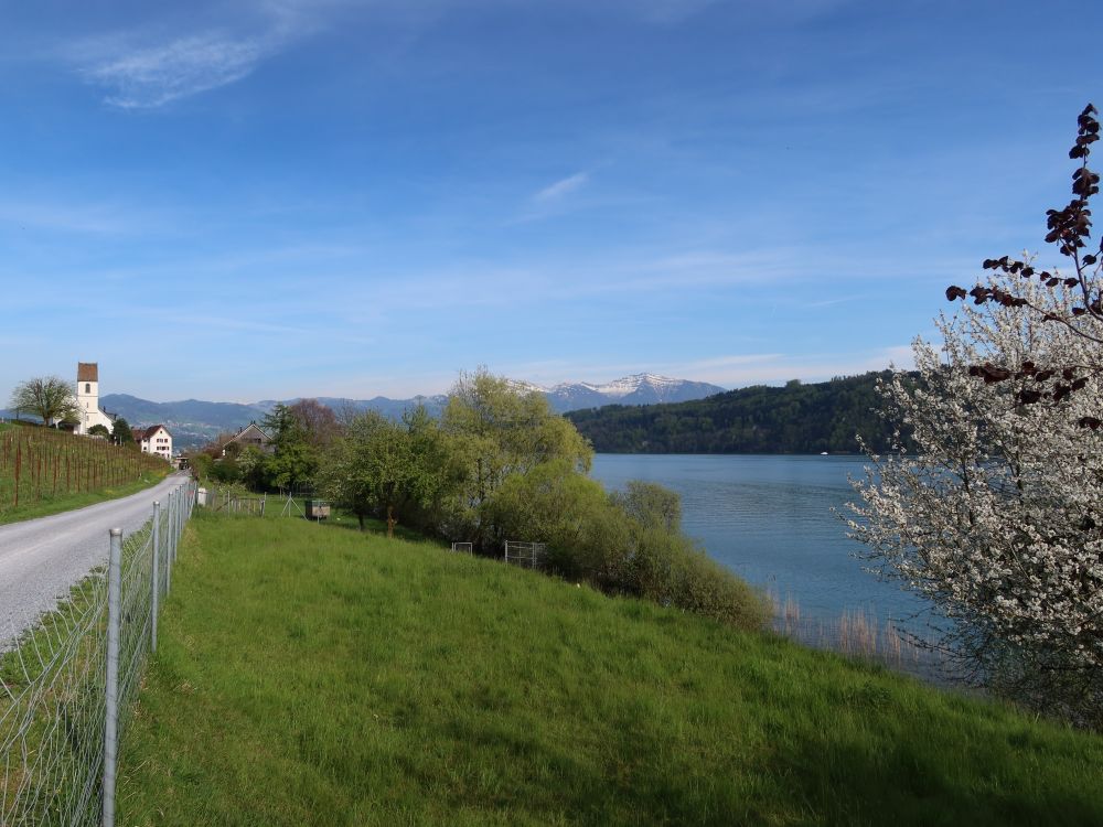 Kirche Bollingen und Federispitz