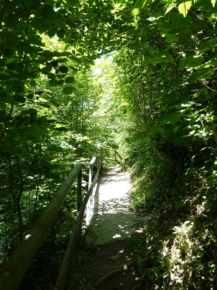 Mühlbachschlucht