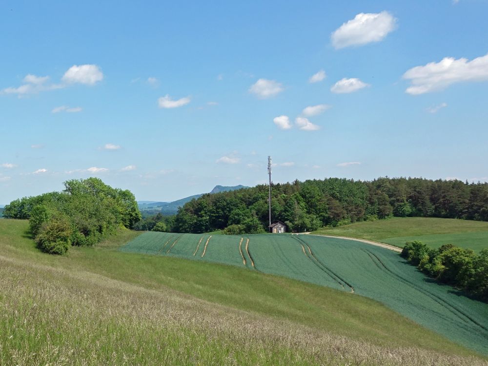 Blick Richtung Hohenstoffeln