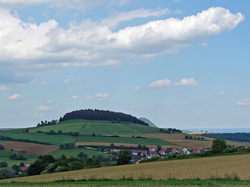 Wannenberg und Hohenhewen