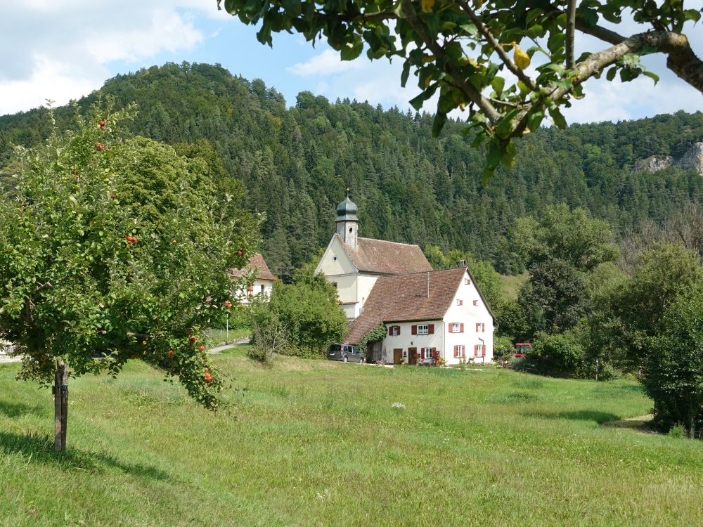 Galluskirche