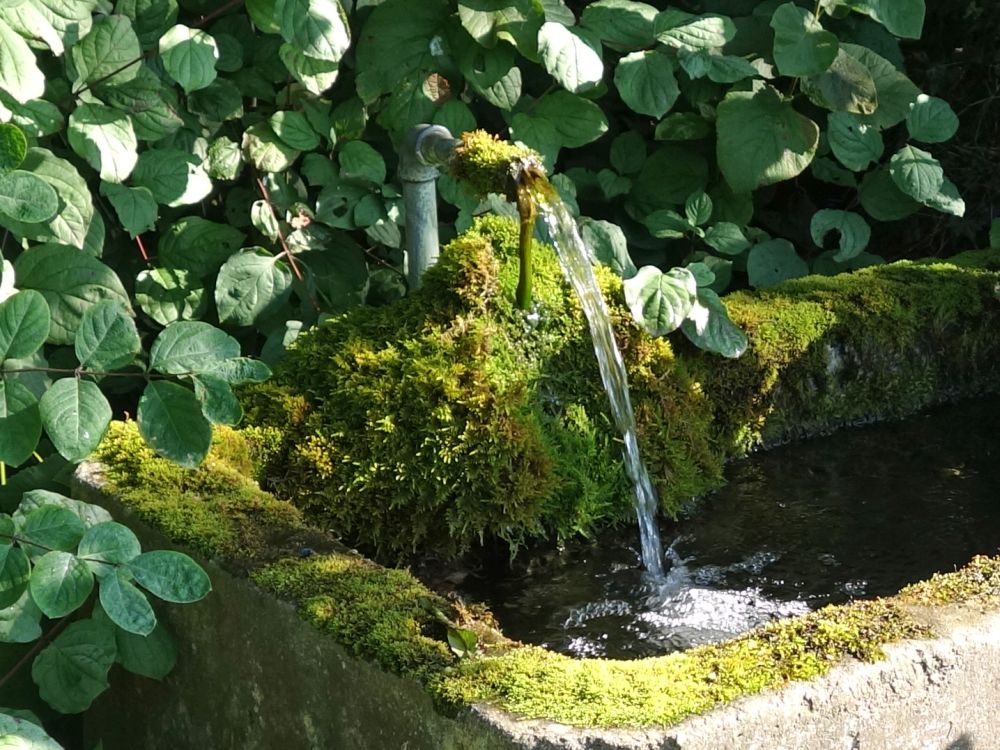 alter Brunnen