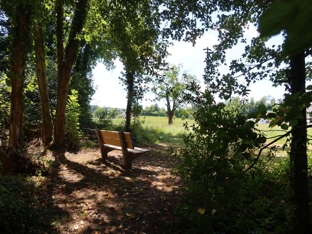 Sitzbank am Waldrand