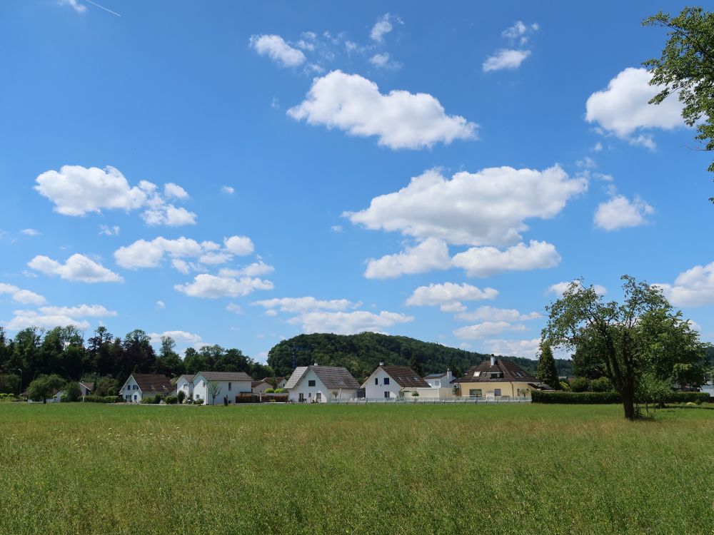 Blick Richtung Eiteberg