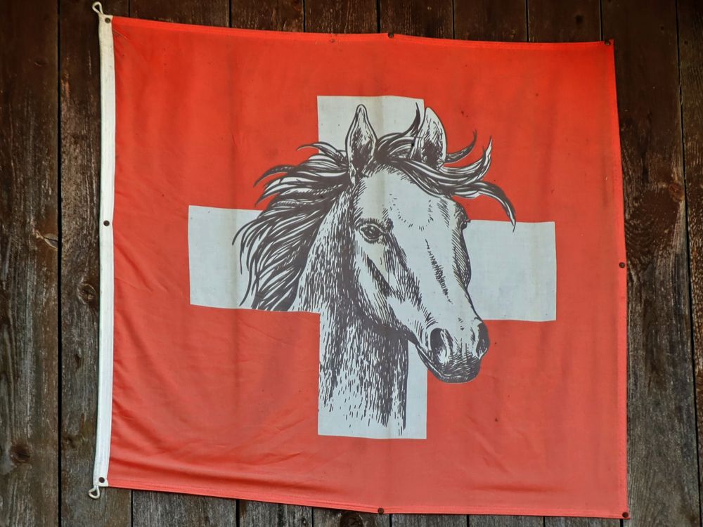 Flagge mit Pferdekopf