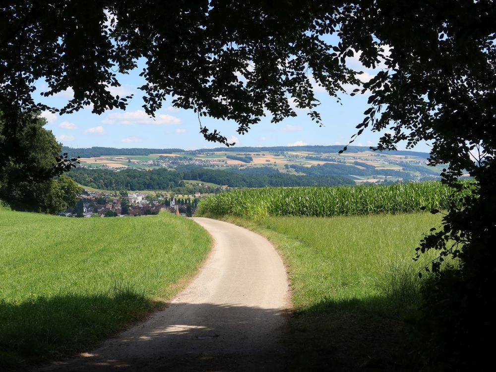 Blick Richtung Mellingen