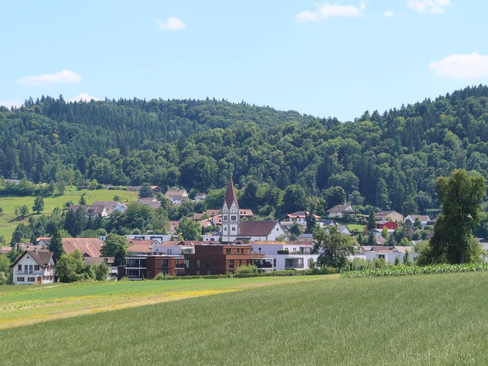 Wohlenschwil