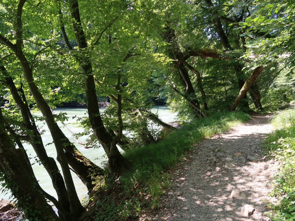 Pfad am Reussufer