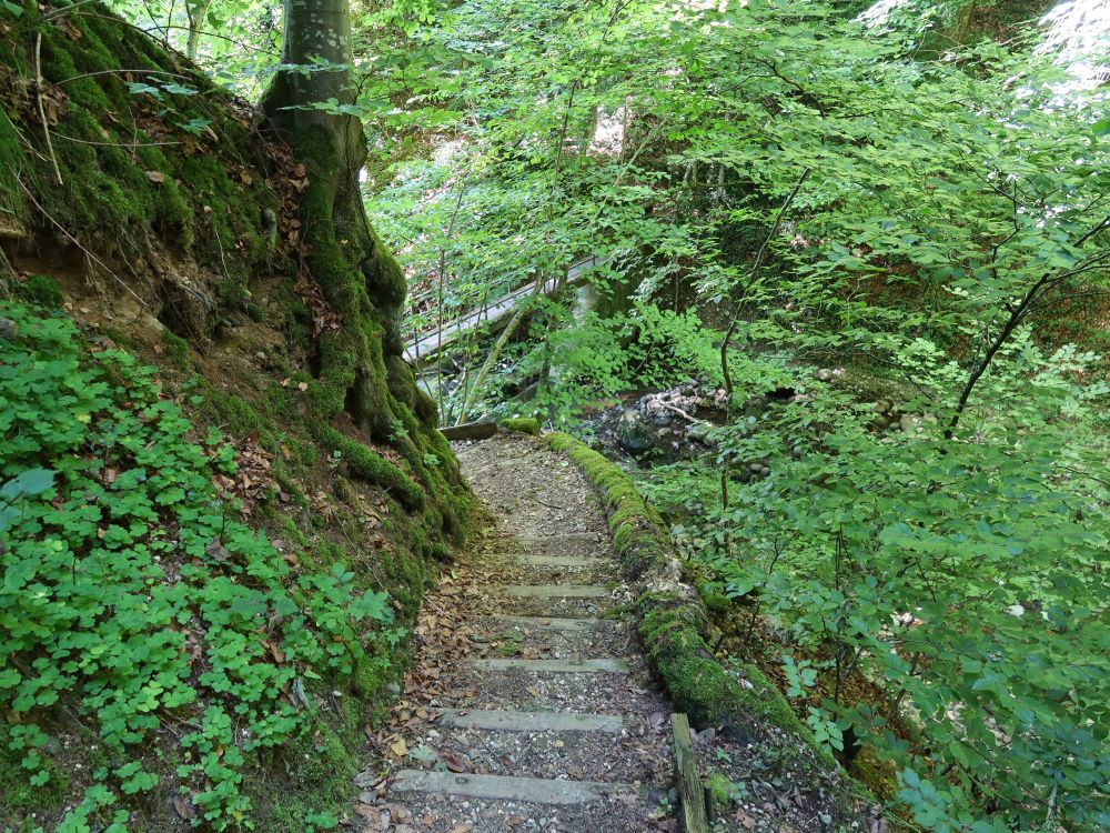 Treppe