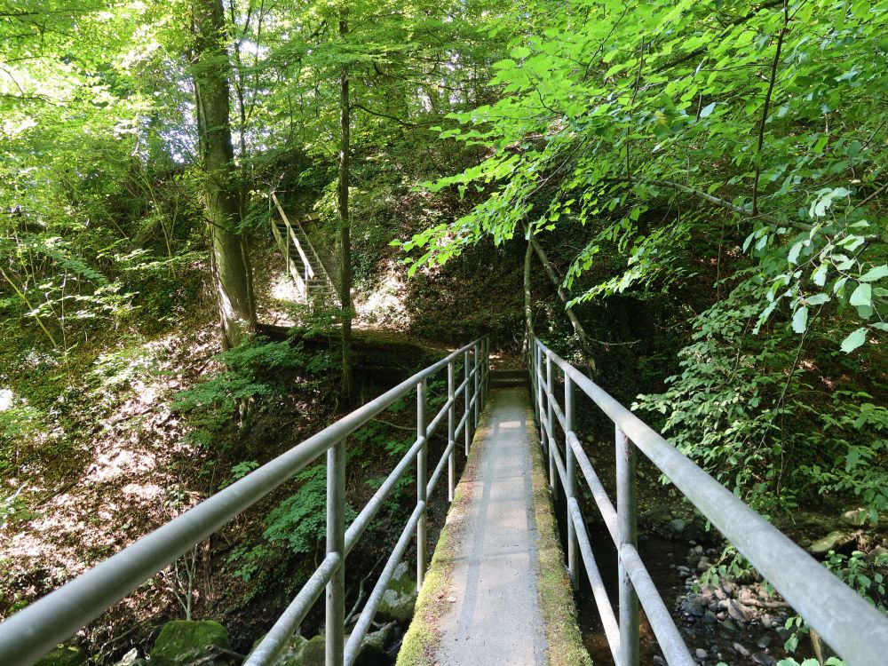 Steg und Treppe im Chlusgrabe