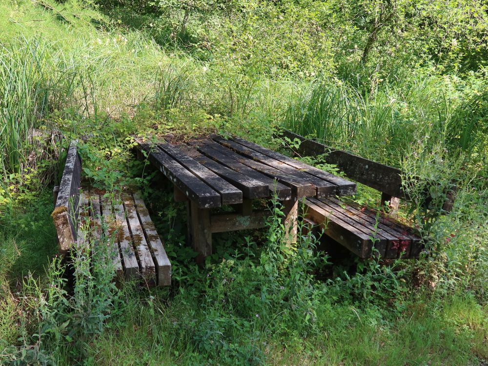 überwucherte Sitzgruppe