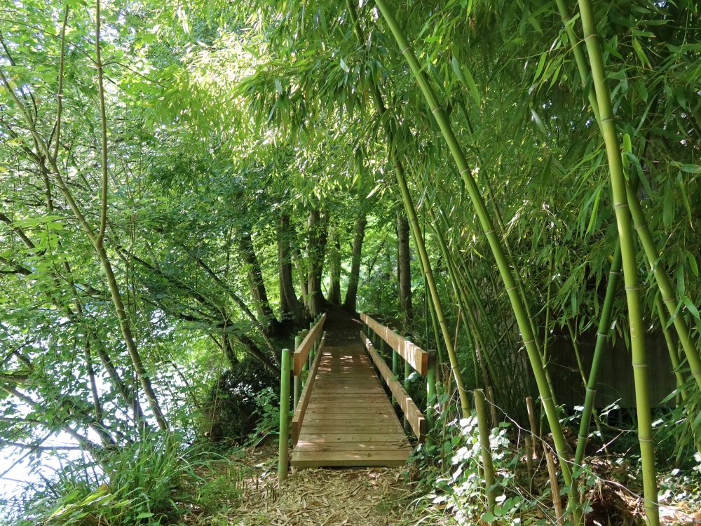 Steg am Bambuswald