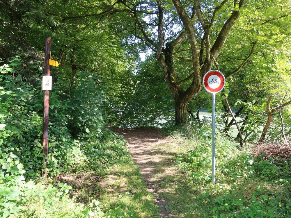 Pfad am Reussufer