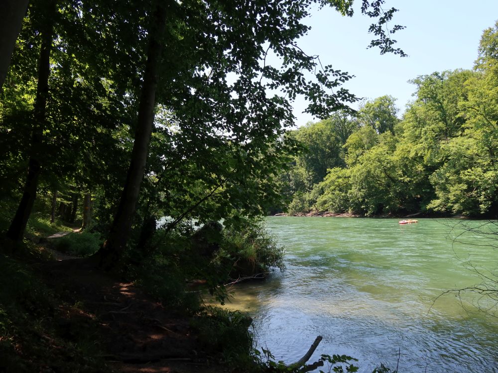 Pfad am Reussufer