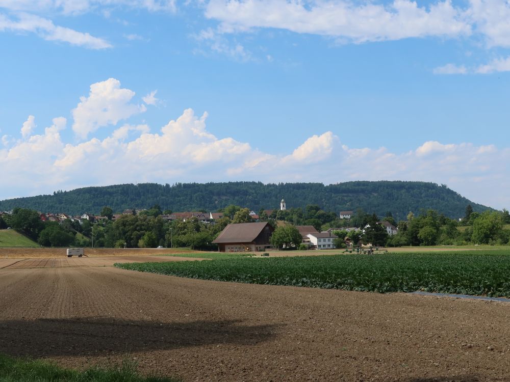 Blick Richtung Windisch