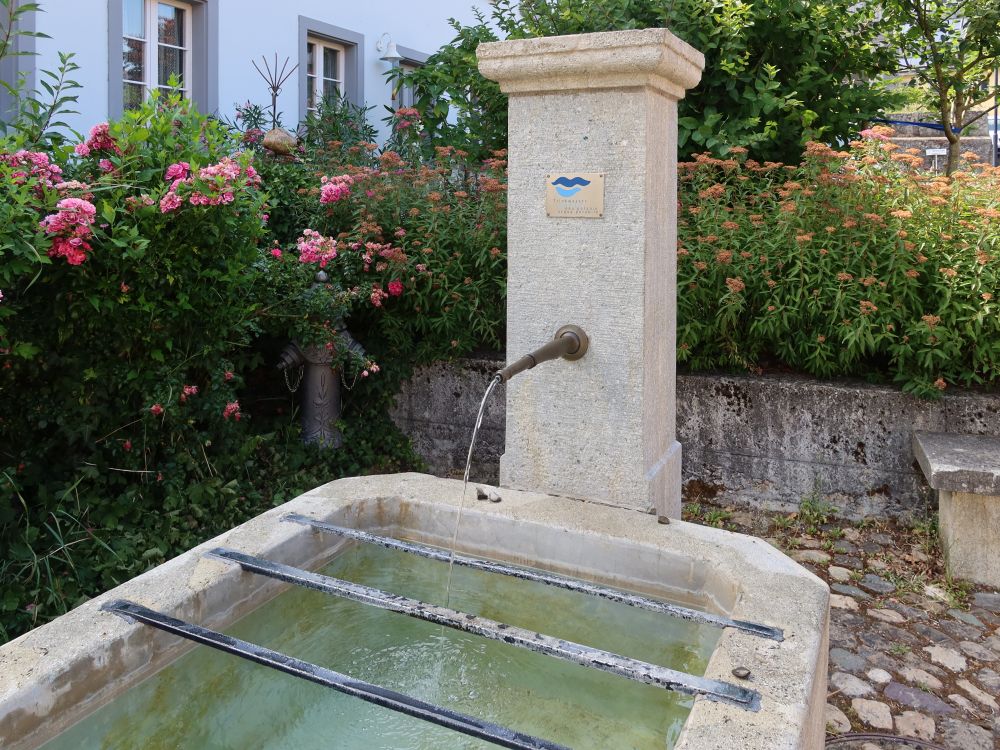 Brunnen in Unterwindisch