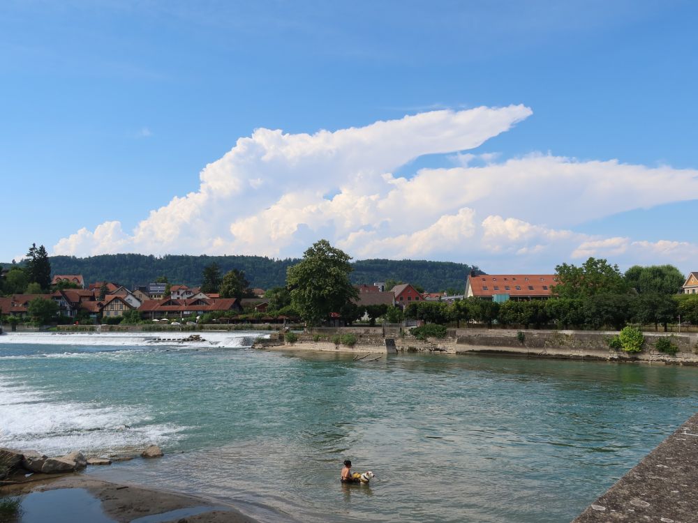 Reuss bei Unterwindisch