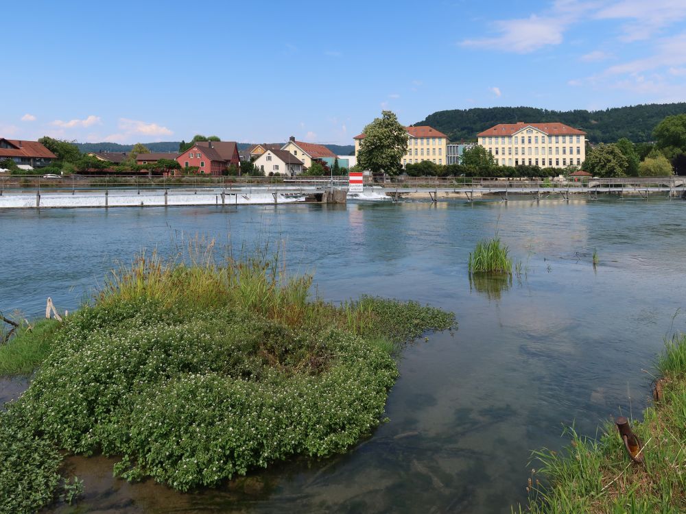 Alte Spinnerei