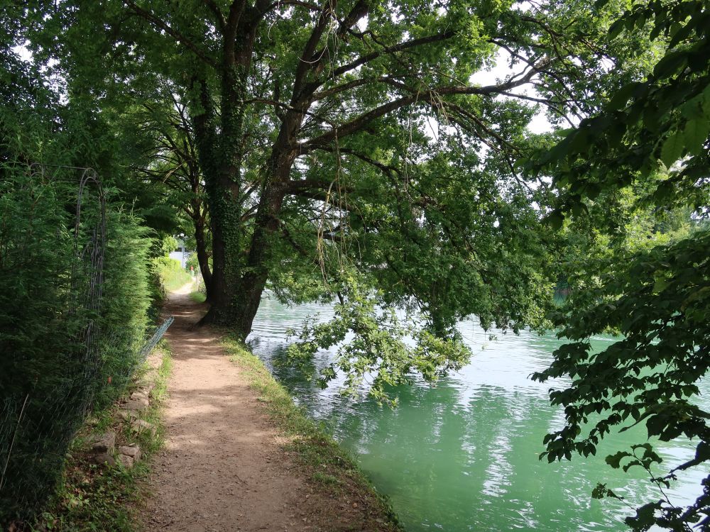 Pfad an der Reuss