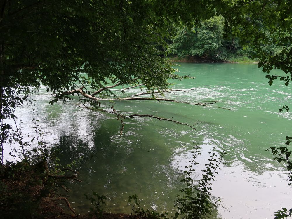 Reuss