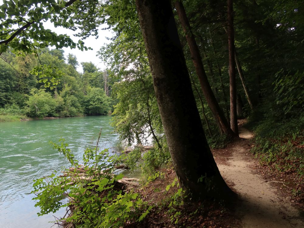 Pfad an der Reuss