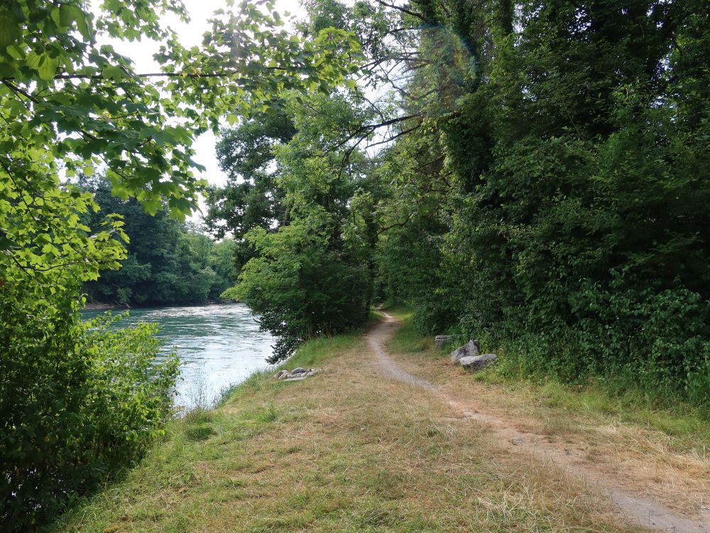 Pfad an der Reuss