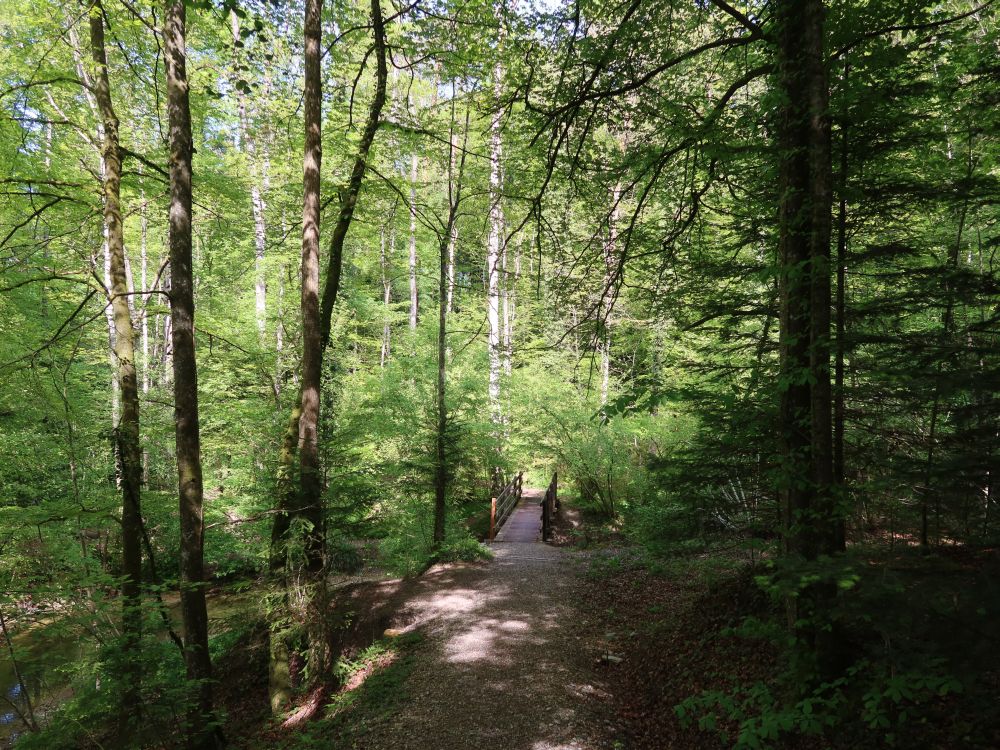 Steg übern Stichbach