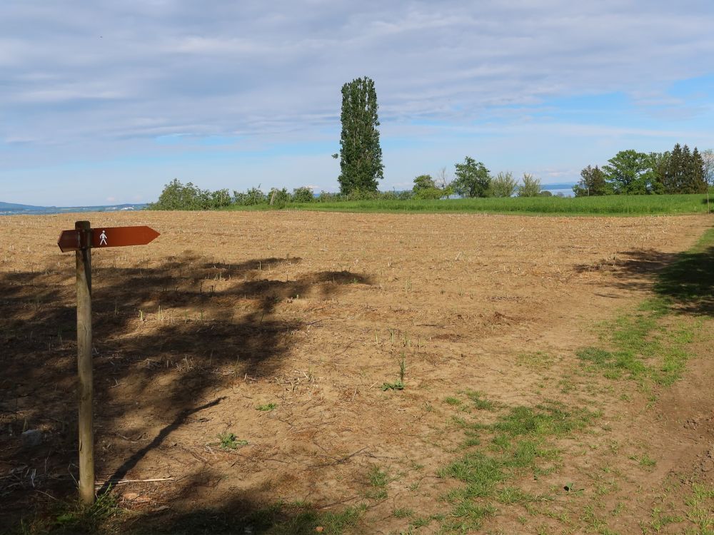 Wegweiser bei Bodanswart