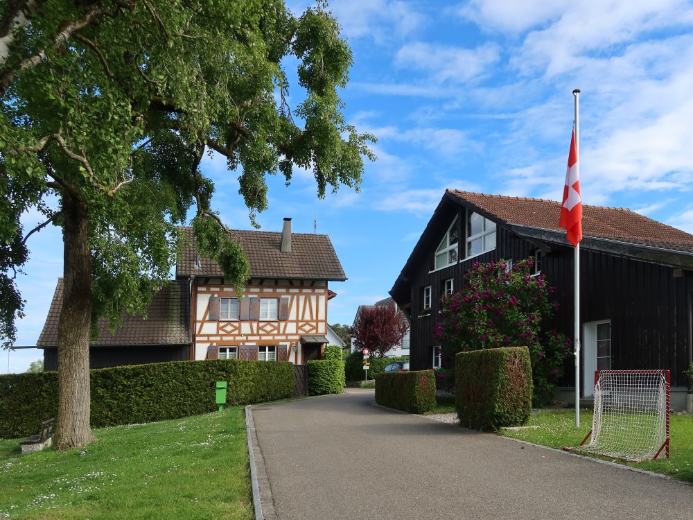 Fischerhus