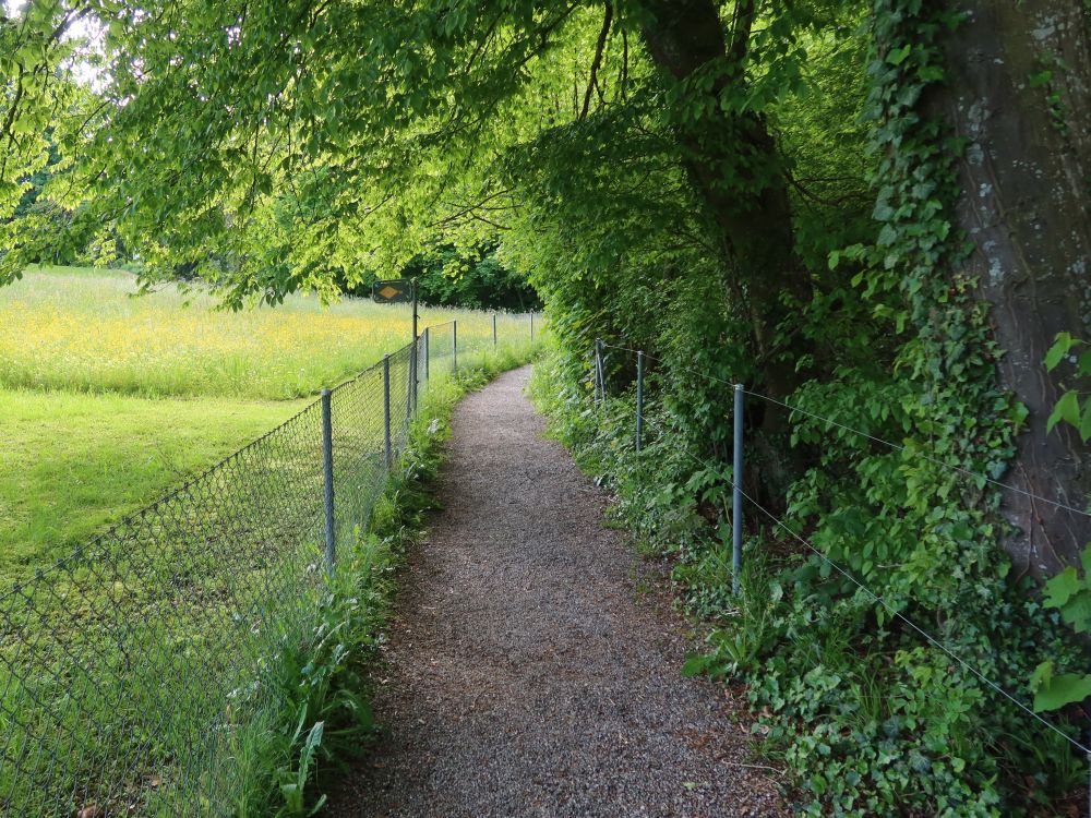 eingezäunter Seeweg