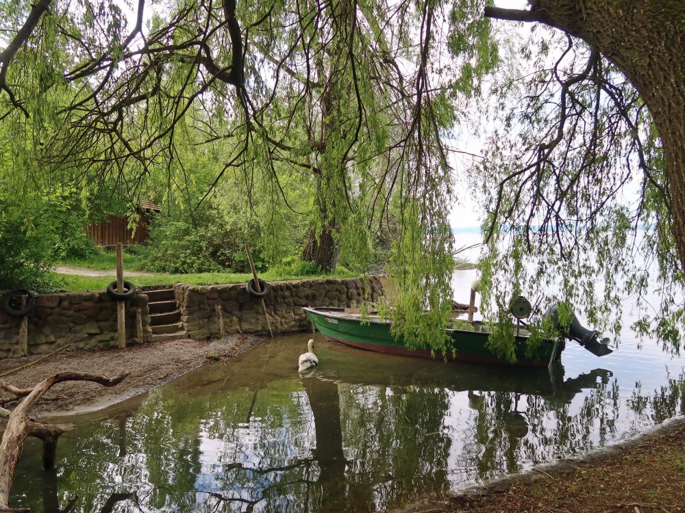 Boot in der Seebachmündung