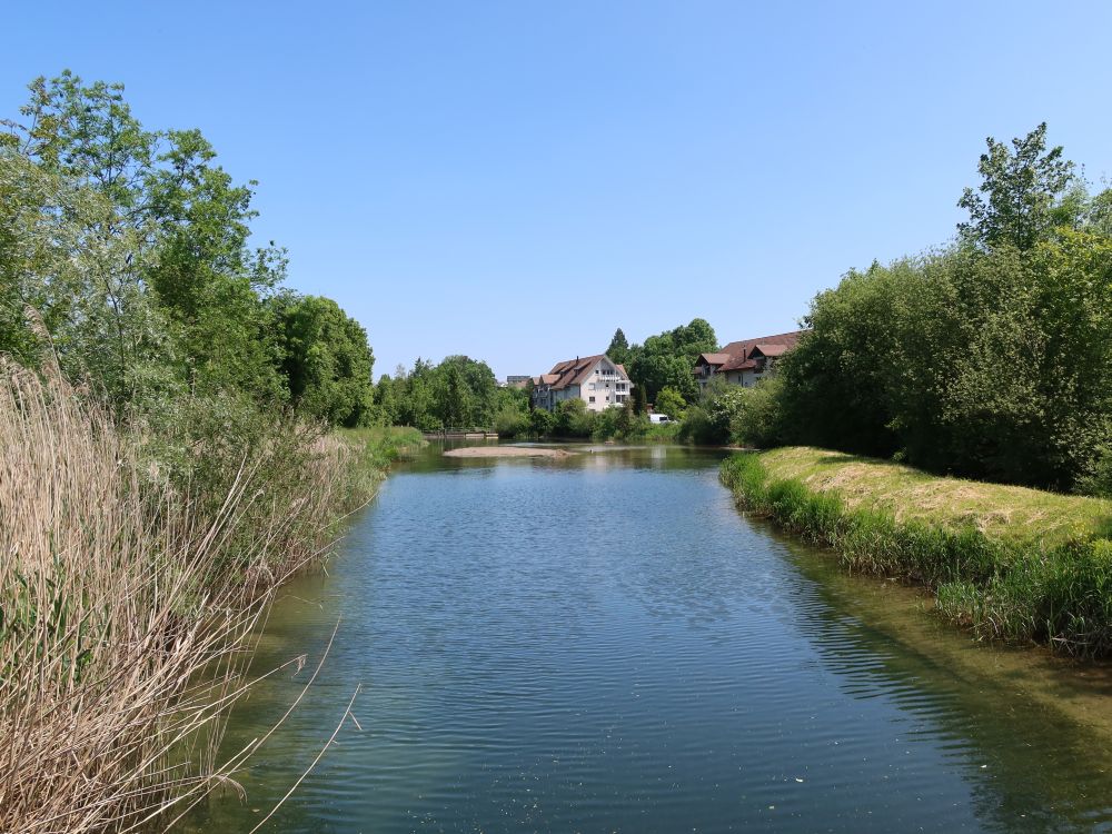 kleiner Stausee bei Wiezikon